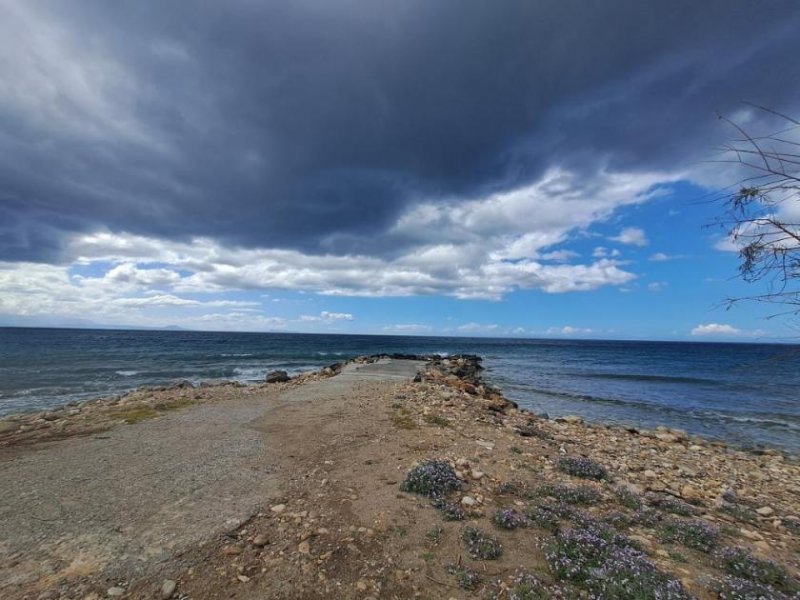 Skaleta Kreta - Grundstück am Meer neben einem kleinen Jachthafen Grundstück kaufen